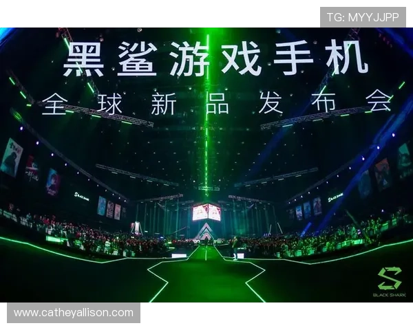 PT的电子构型对游戏平衡性的影响及优化建议，助你打造更公平的游戏环境