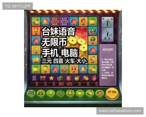 新手必看老虎机玩机技巧全面解析提升游戏胜率的方法