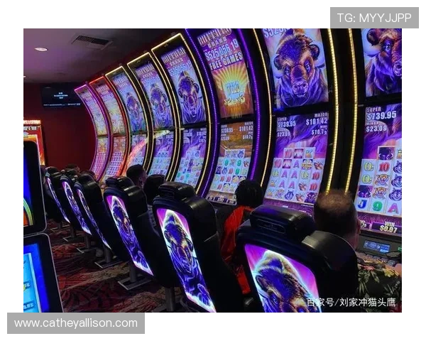 云顶老虎机平台网址正规授权，保障玩家资金安全与公平游戏环境