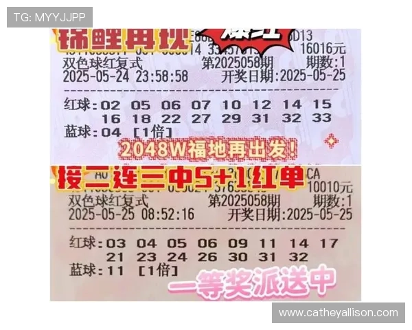 恶魔老虎机正式版怎么玩才能通过合理的投注策略实现稳定盈利的实用技巧 恶魔老虎机正式版怎么玩才能通过合理的投注策略实现稳定盈利的实用技巧